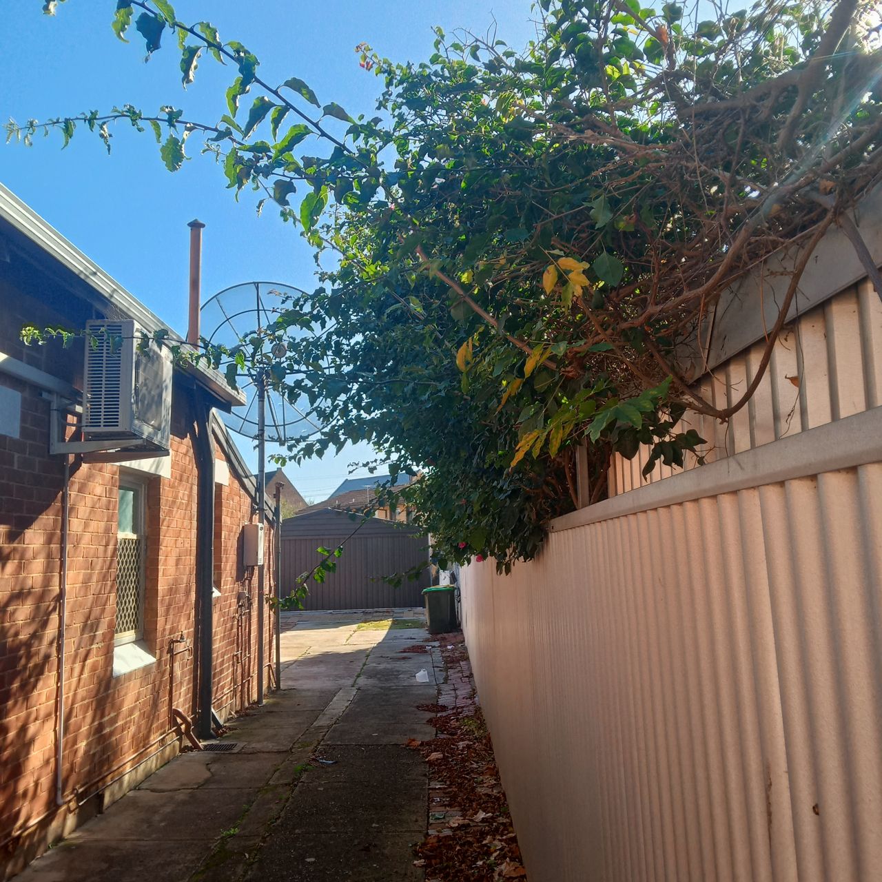 New fencing and rear-yard tidy-up